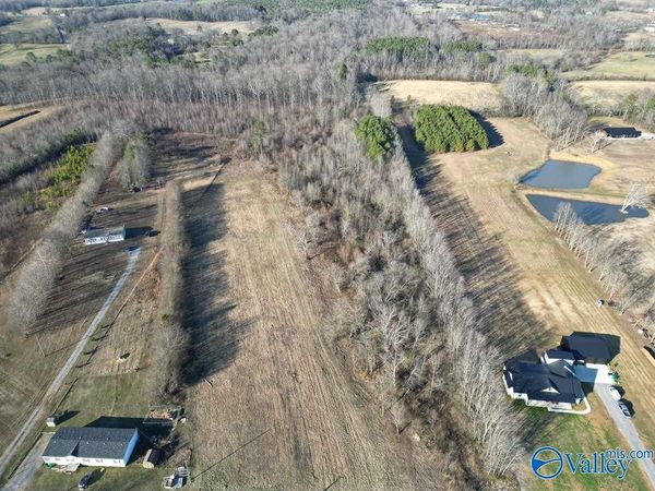 6.5 Acres County Road 1597, Baileyton, AL 35019