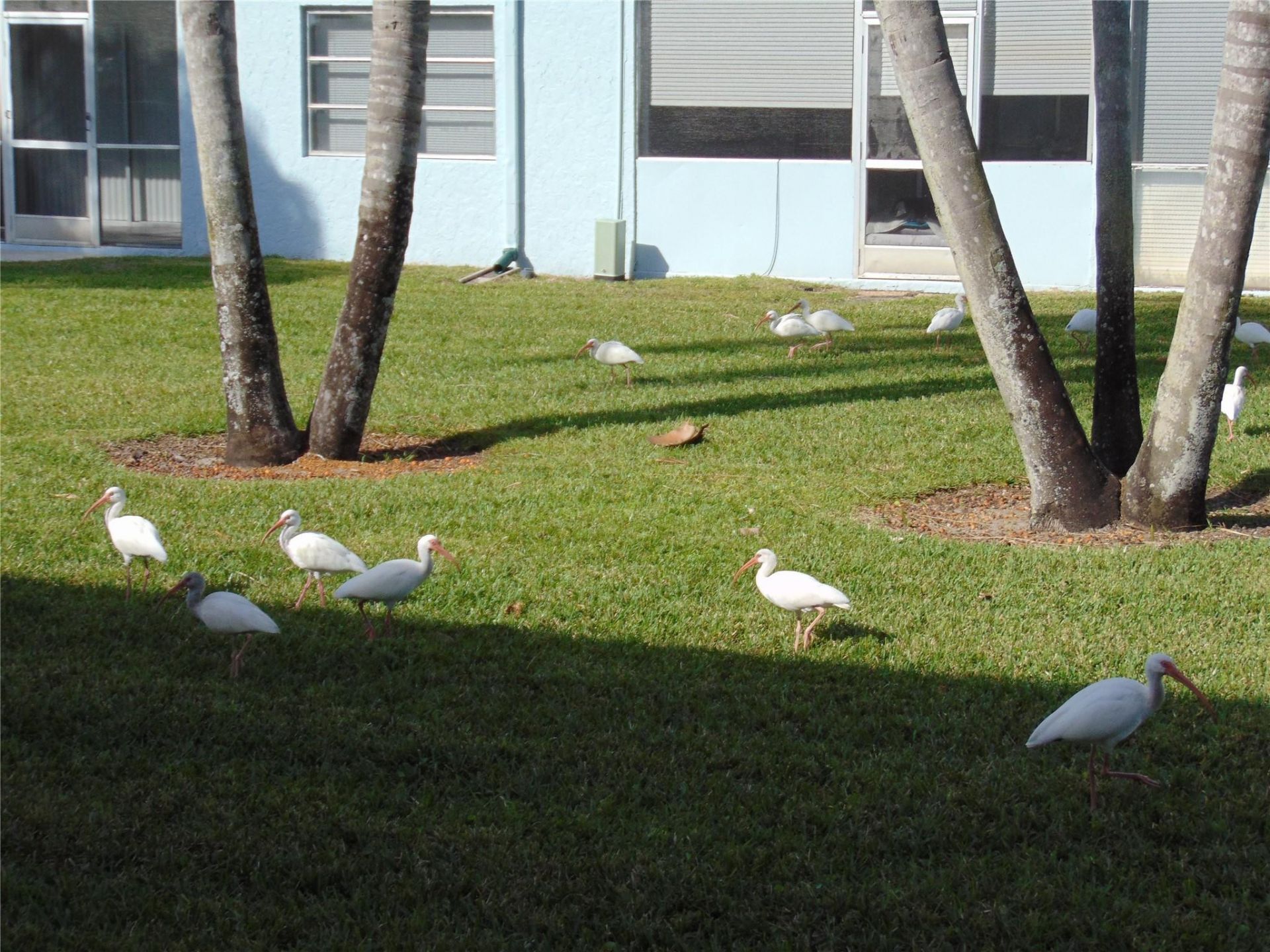 9788 Marina Boulevard, Unit 313, Boca Raton, FL 33428 Photo