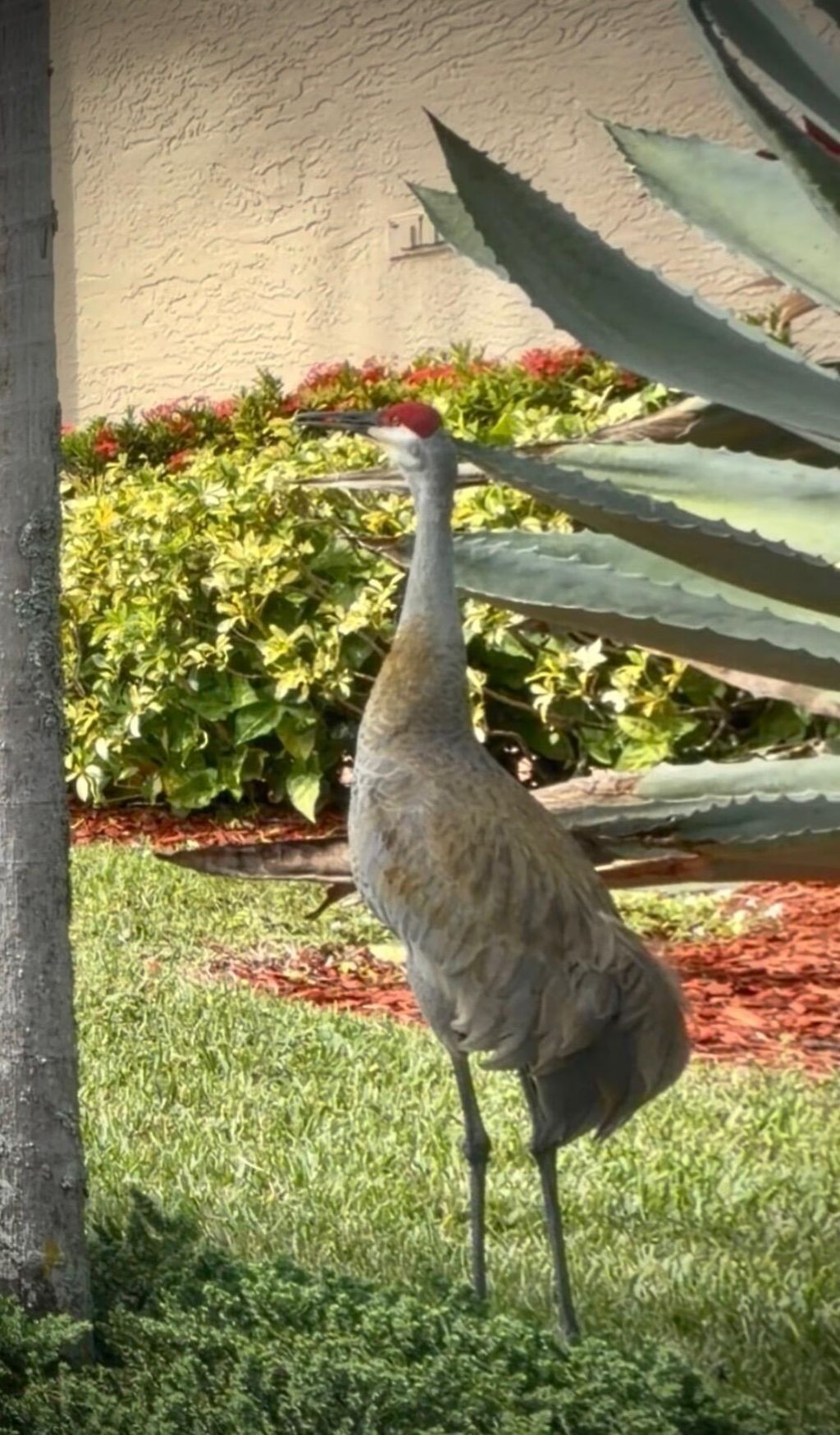 9391 Bridgeport Drive, West Palm Beach, FL 33411 Photo