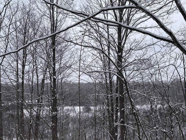 10 Lake Louise Road, Interlochen, MI 49643