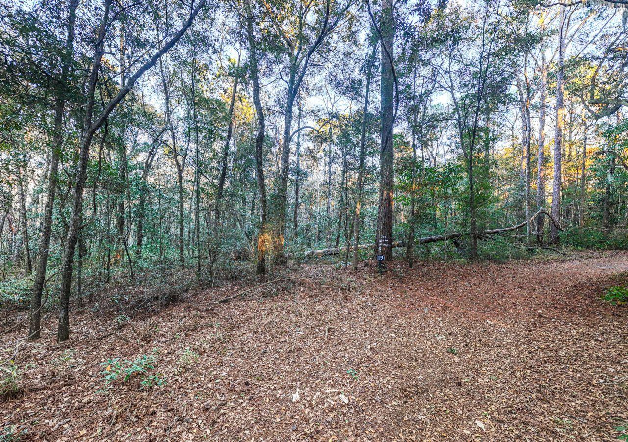 19 Middleton Oaks Road Photo 12