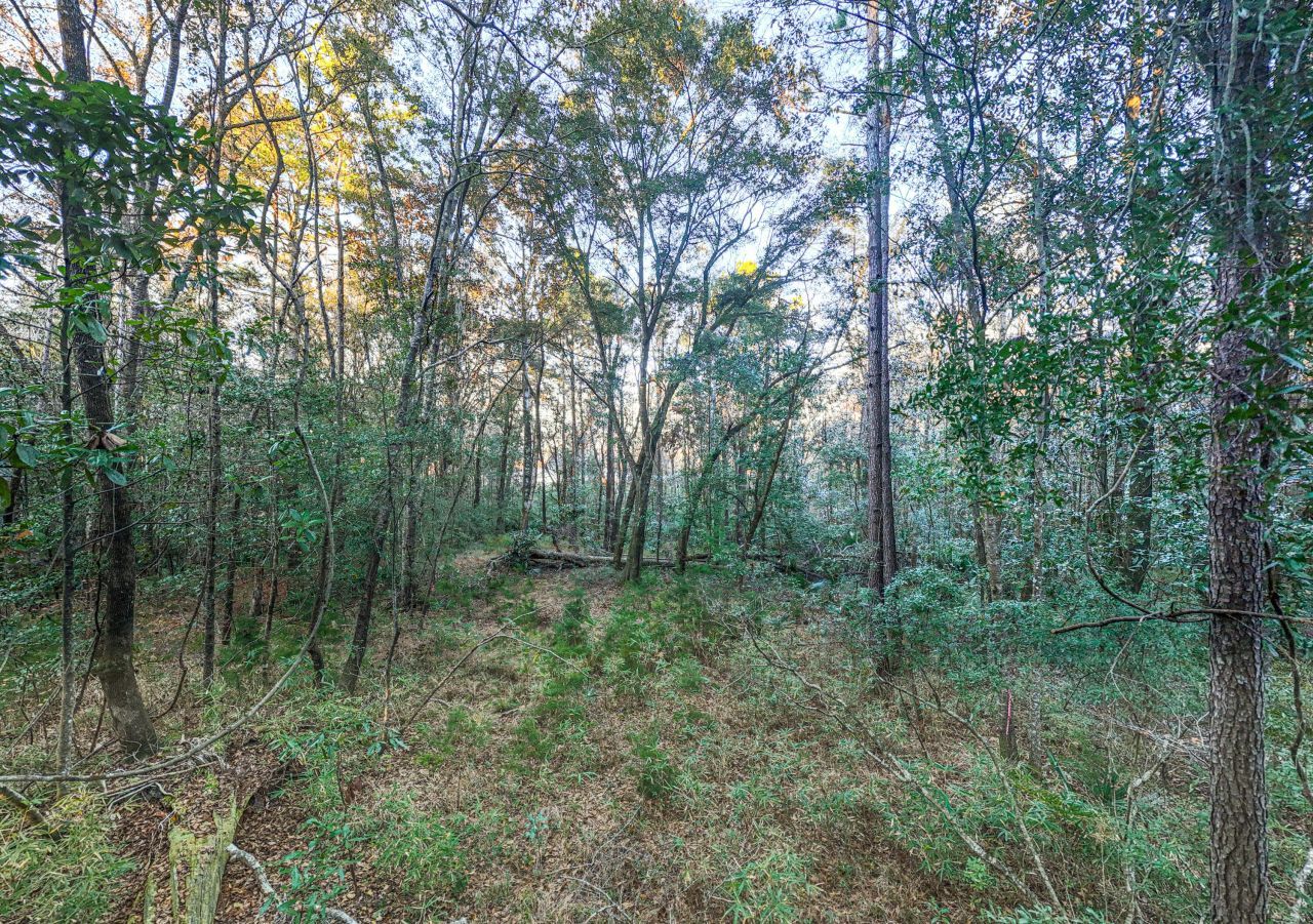 19 Middleton Oaks Road Photo 13