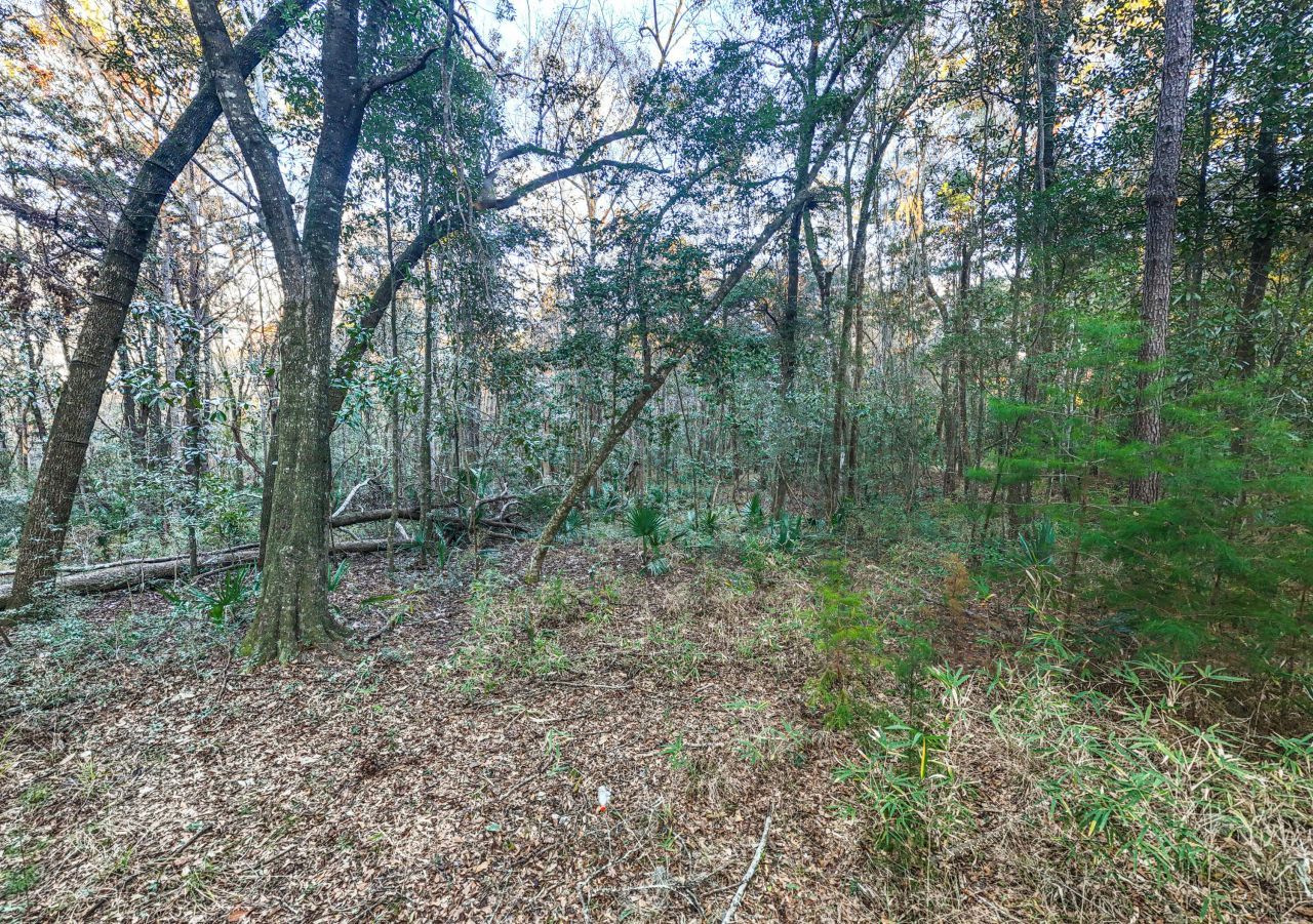 19 Middleton Oaks Road Photo 14