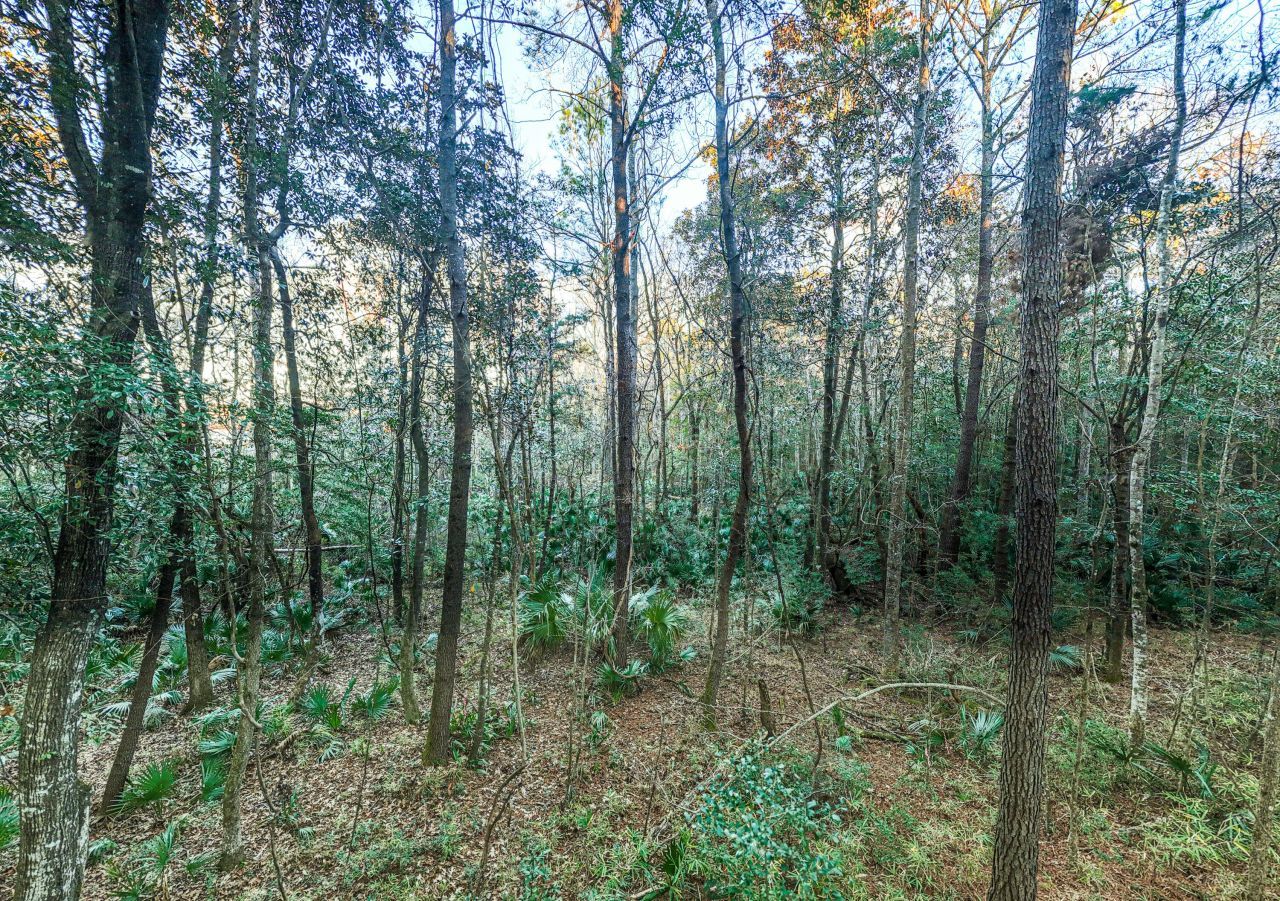 19 Middleton Oaks Road Photo 15