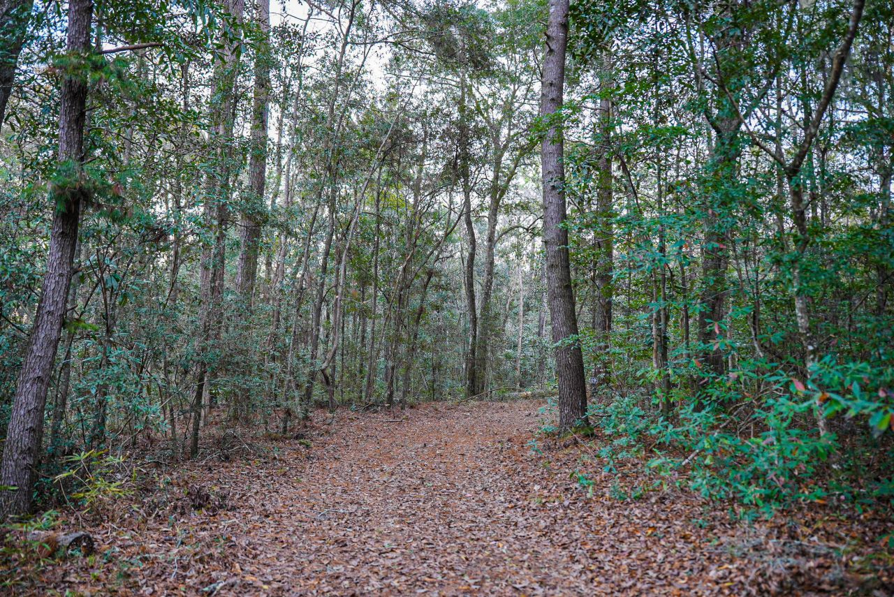 19 Middleton Oaks Road Photo 16