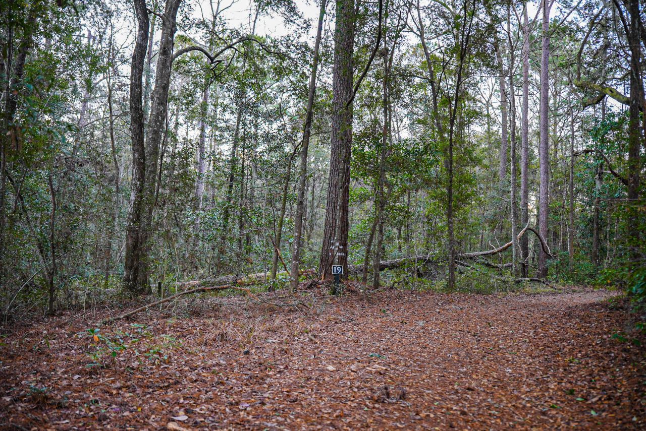 19 Middleton Oaks Road Photo 17