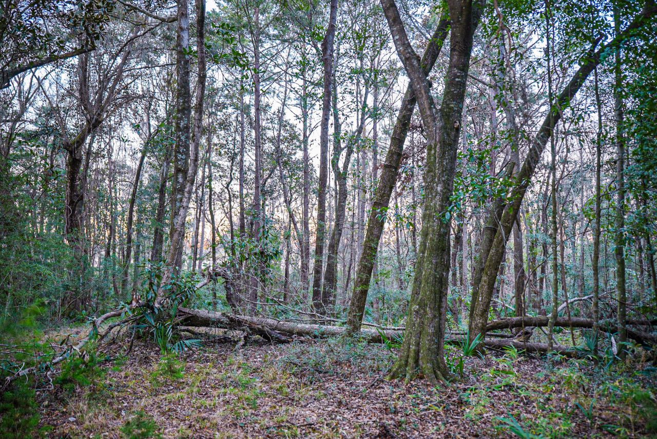 19 Middleton Oaks Road Photo 18