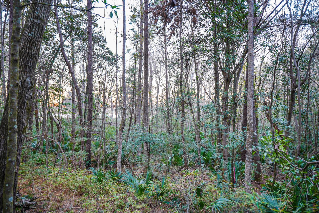 19 Middleton Oaks Road Photo 19