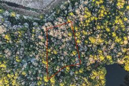 19 Middleton Oaks Road photo 4