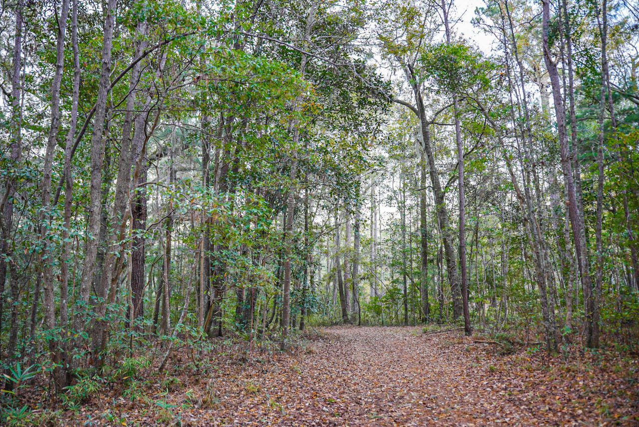 19 Middleton Oaks Road Photo 20