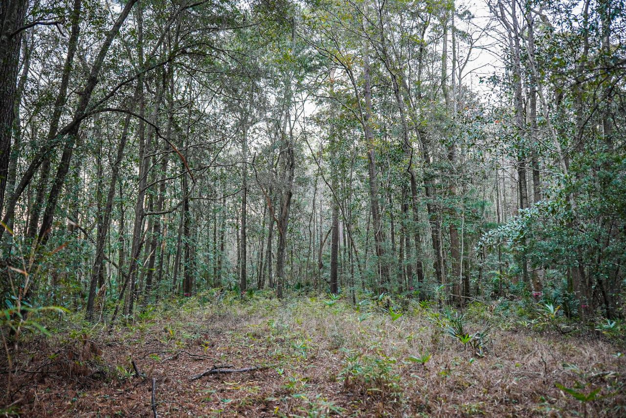 19 Middleton Oaks Road Photo 21