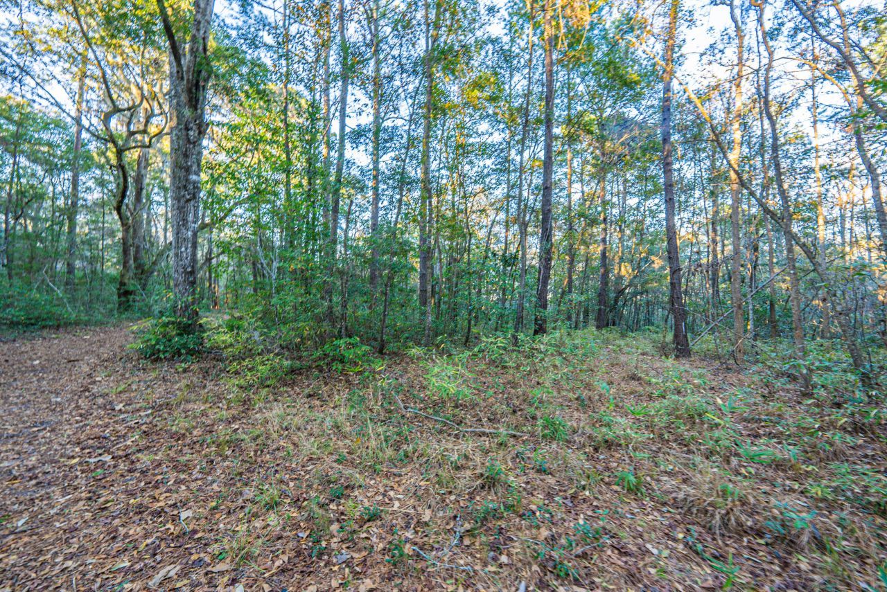 19 Middleton Oaks Road Photo 22