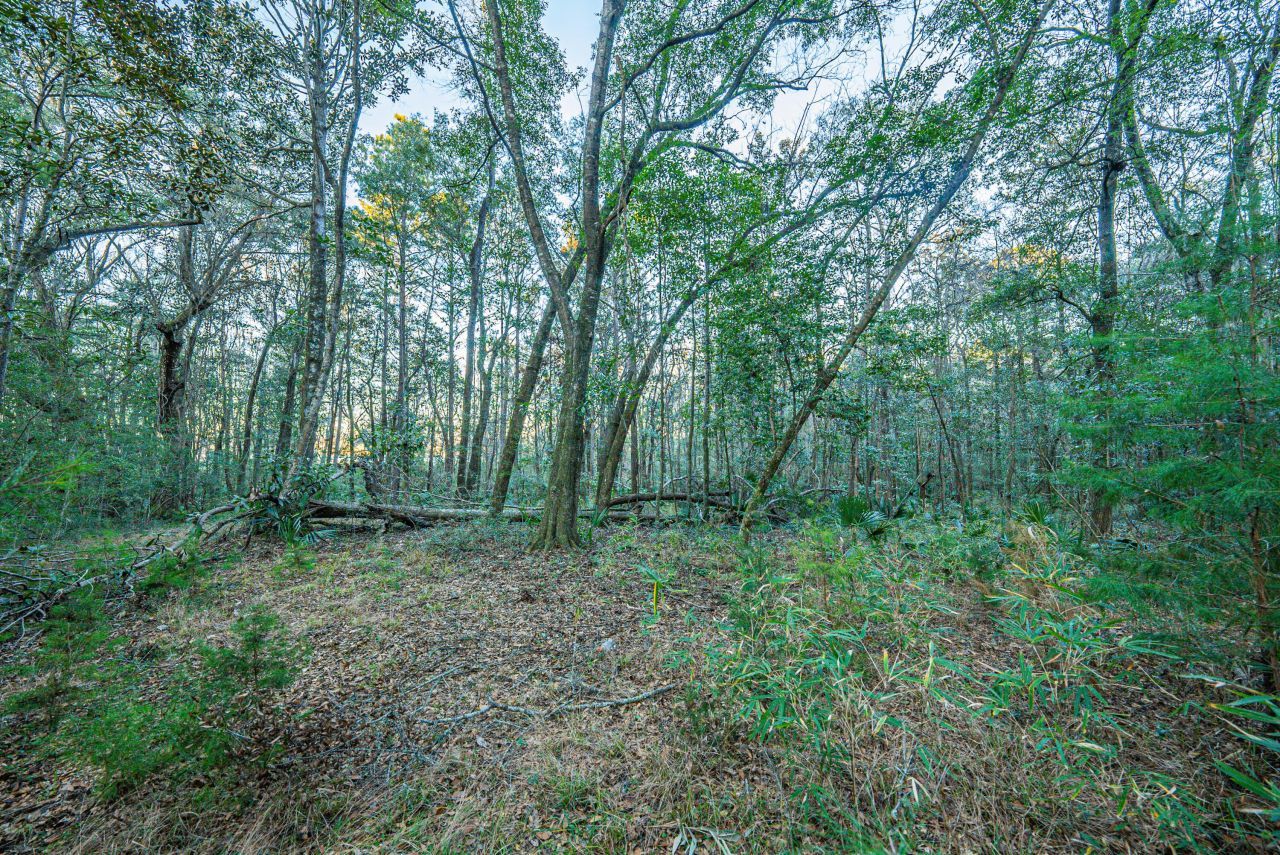 19 Middleton Oaks Road Photo 23