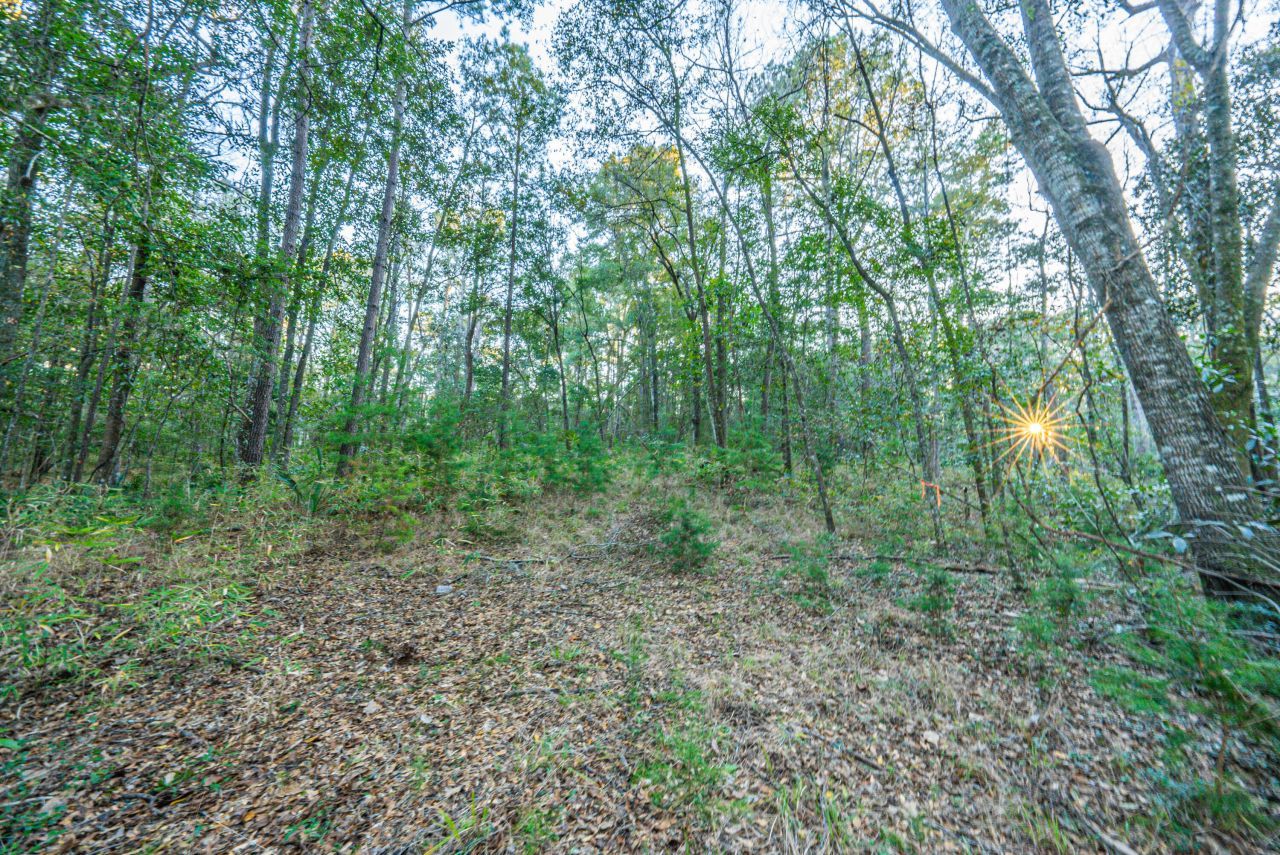 19 Middleton Oaks Road Photo 24