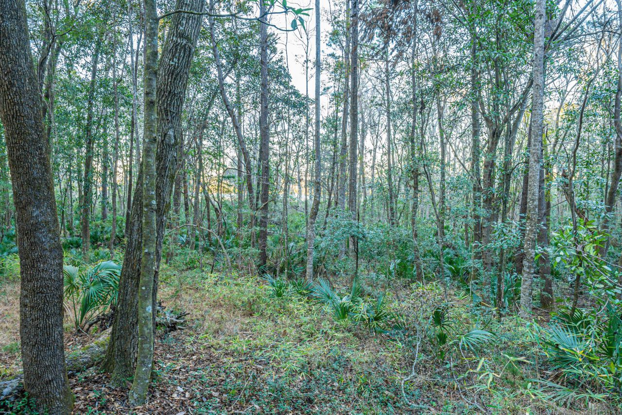 19 Middleton Oaks Road Photo 25