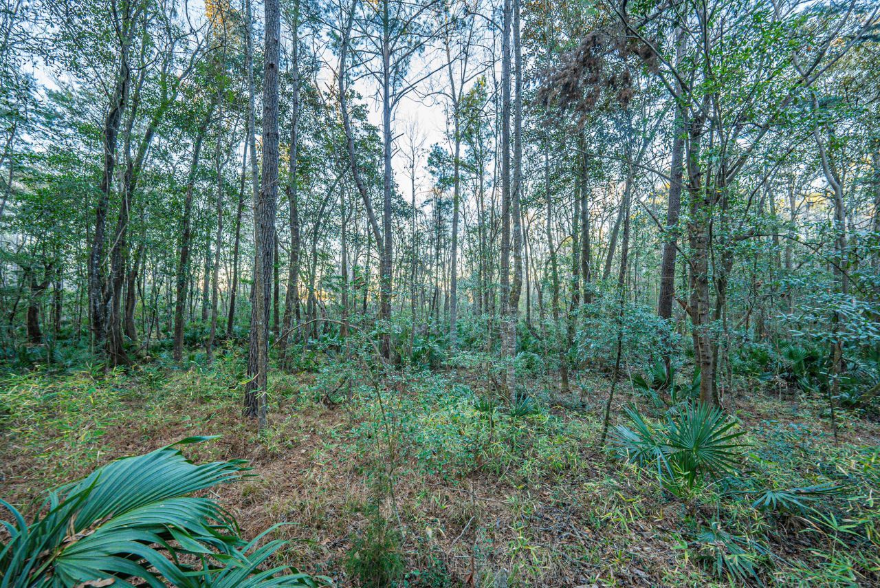 19 Middleton Oaks Road Photo 26