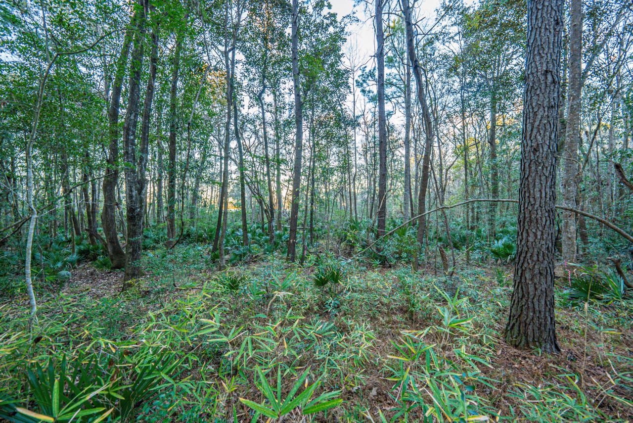 19 Middleton Oaks Road Photo 27