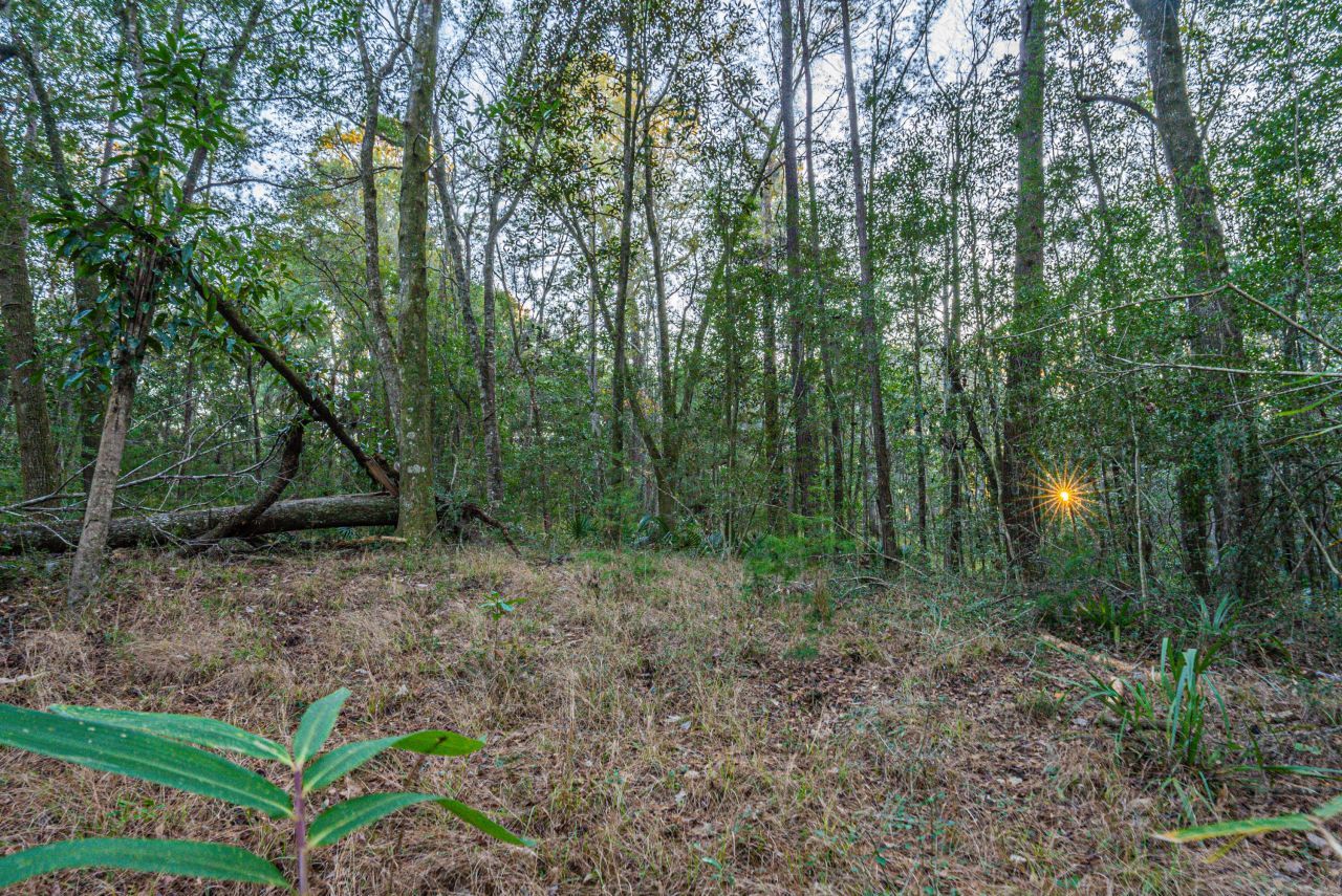 19 Middleton Oaks Road Photo 28