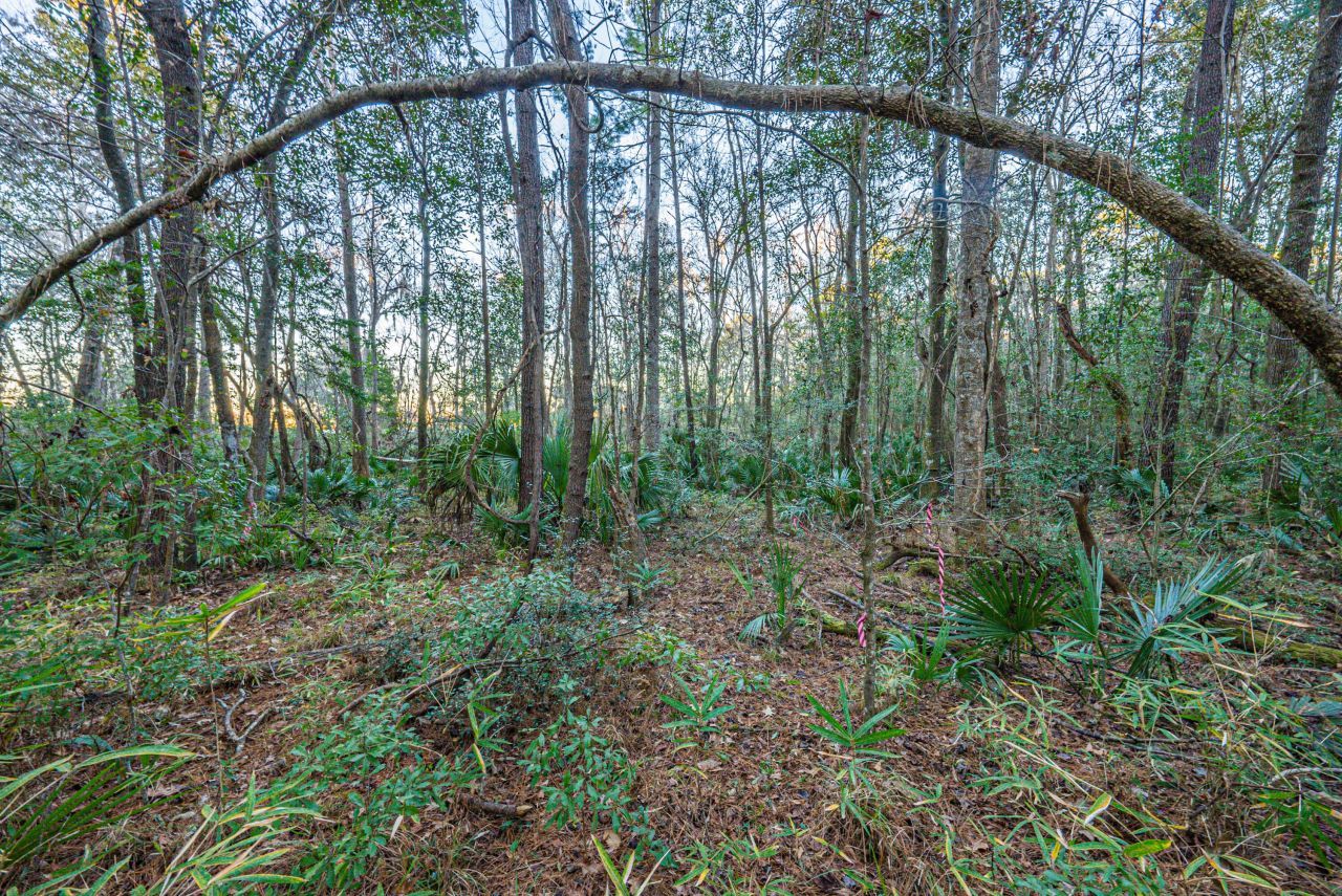 19 Middleton Oaks Road Photo 29