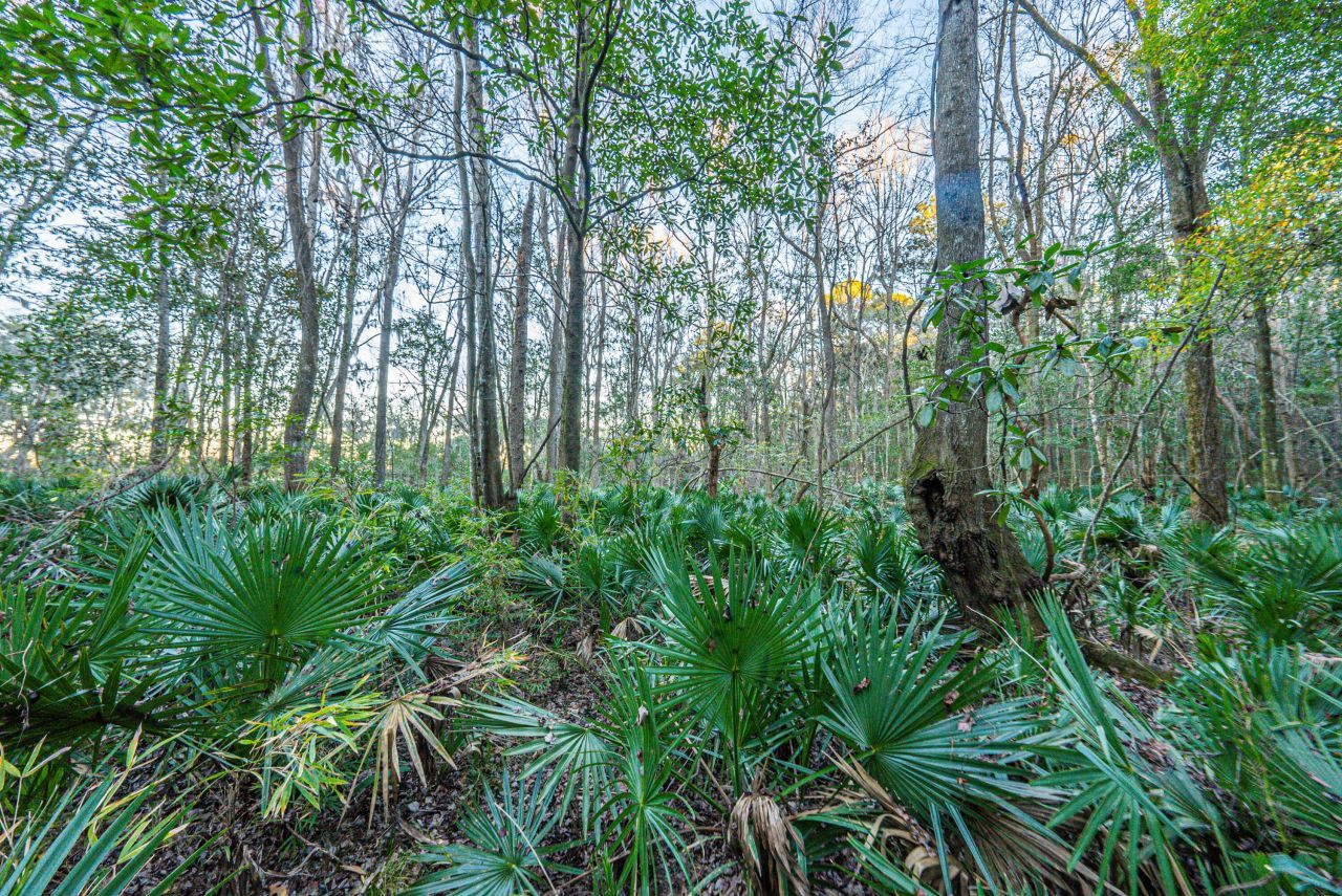 19 Middleton Oaks Road Photo 30