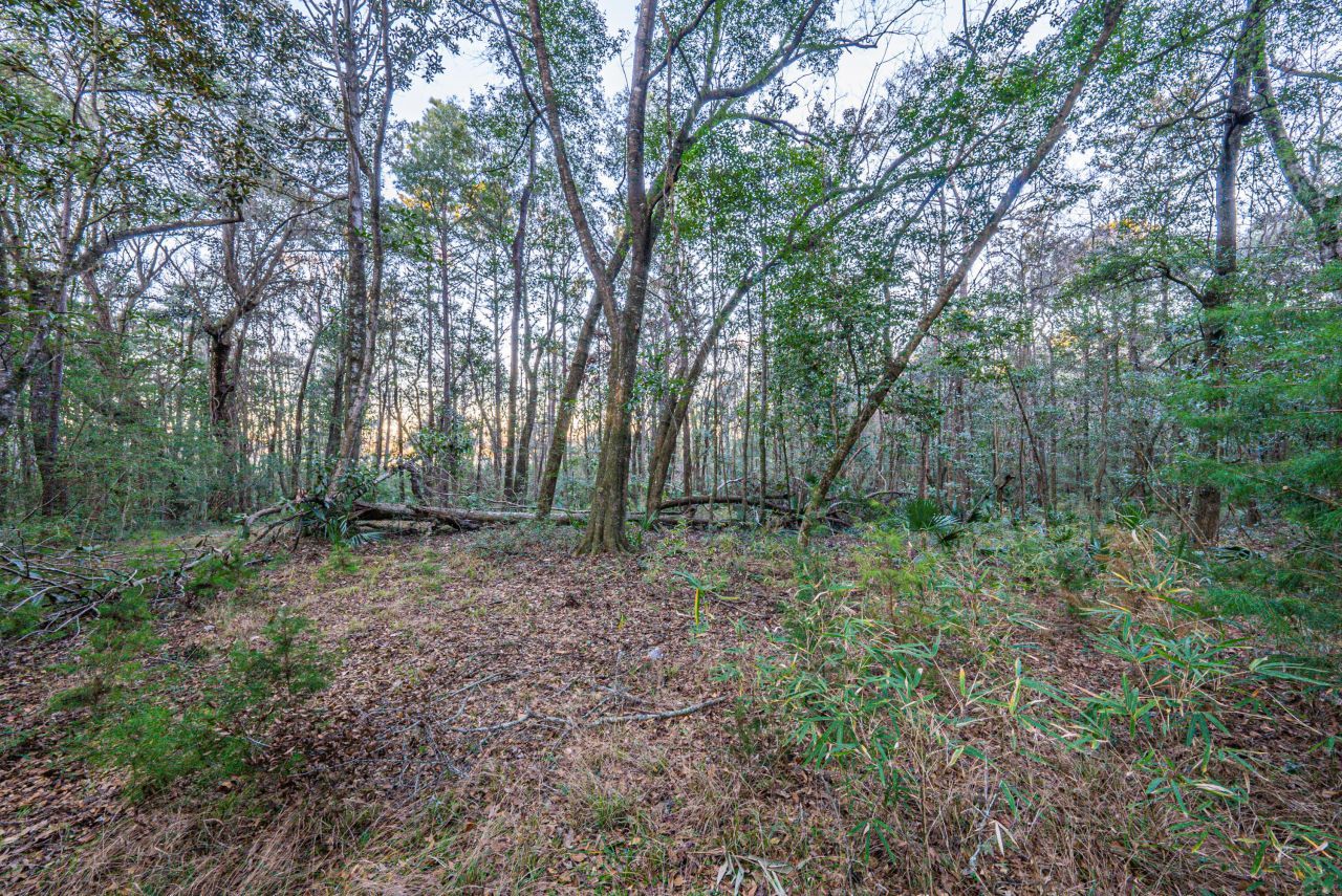 19 Middleton Oaks Road Photo 31