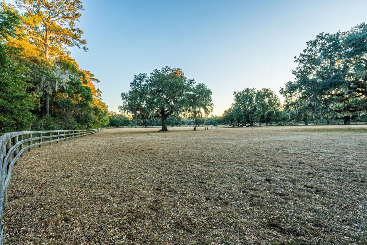 19 Middleton Oaks Road Photo 32