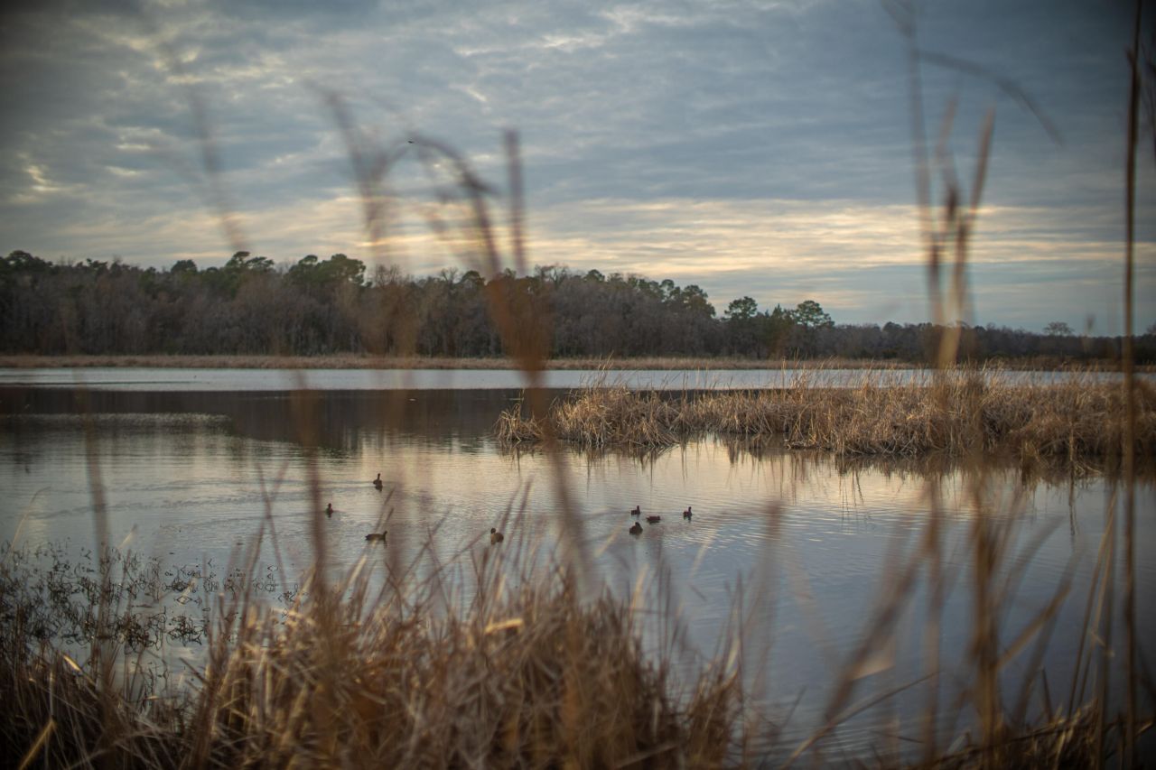 19 Middleton Oaks Road Photo 34