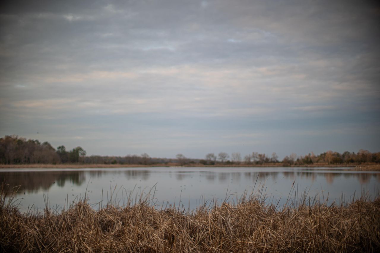 19 Middleton Oaks Road Photo 35