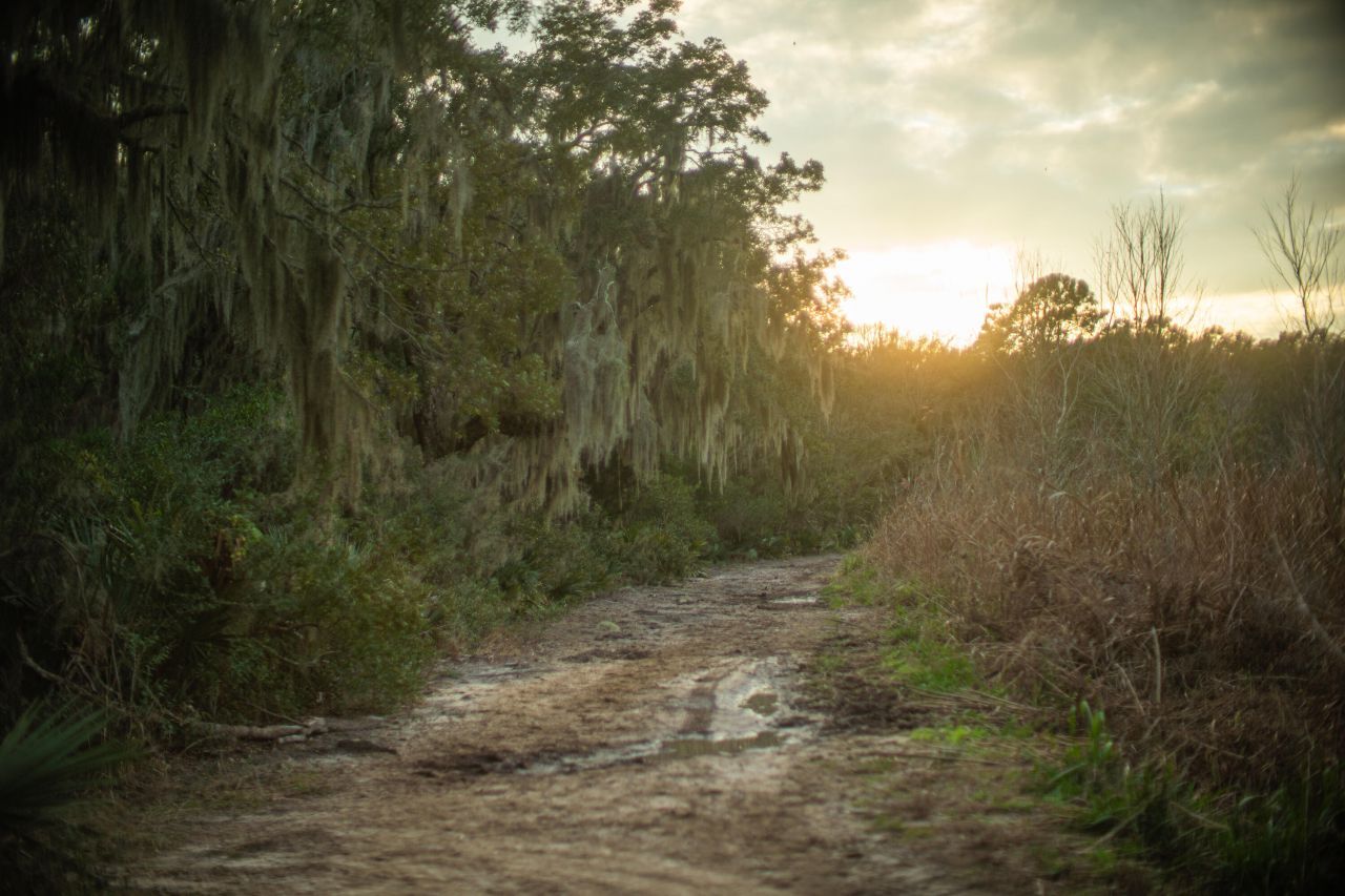 19 Middleton Oaks Road Photo 36