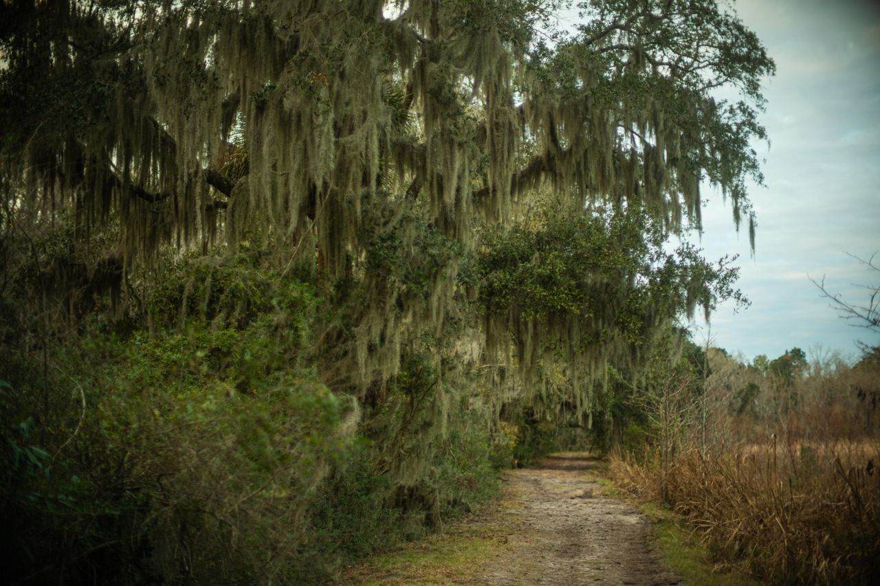 19 Middleton Oaks Road Photo 37