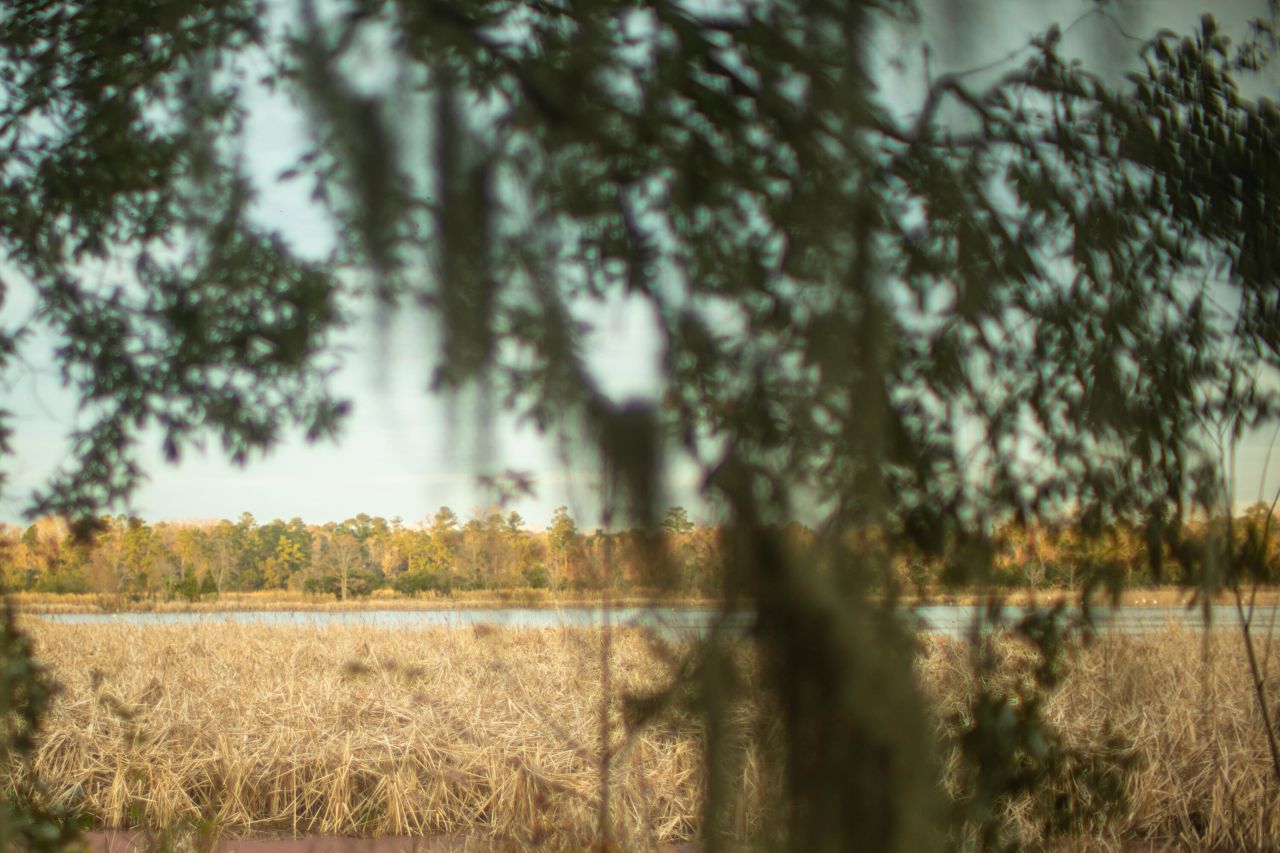 19 Middleton Oaks Road Photo 38