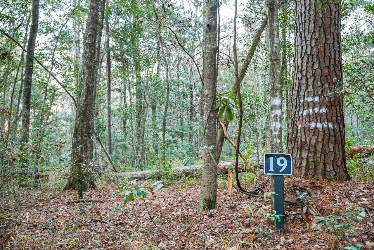 19 Middleton Oaks Road Photo 4