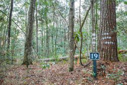 19 Middleton Oaks Road photo 4