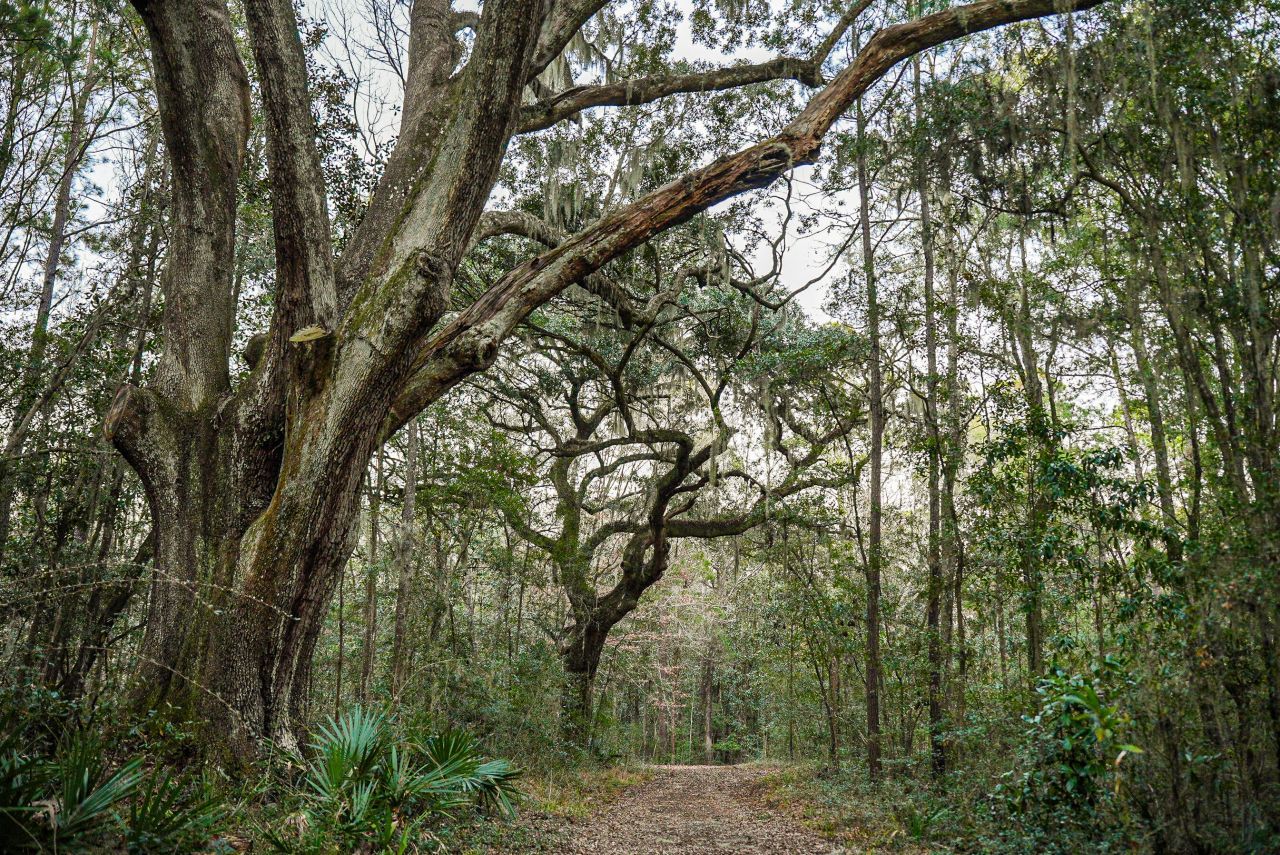 19 Middleton Oaks Road Photo 5