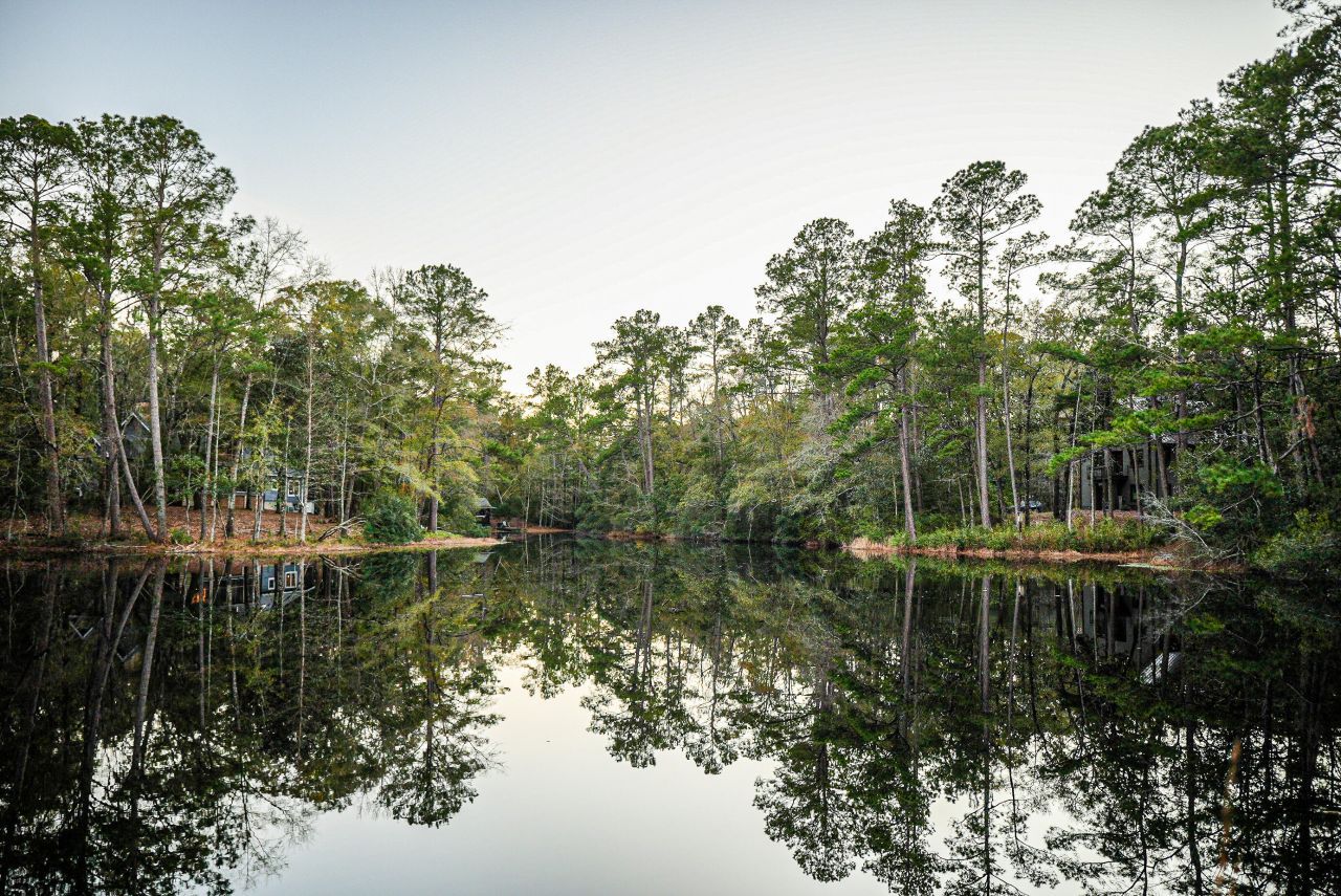 19 Middleton Oaks Road Photo 6