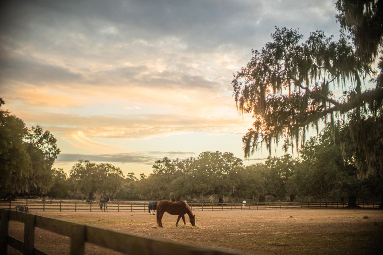 19 Middleton Oaks Road Photo 8