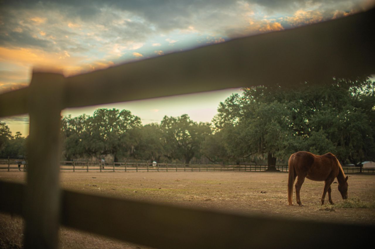 19 Middleton Oaks Road Photo 9