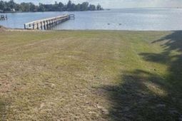 1205 Davis Street photo 4