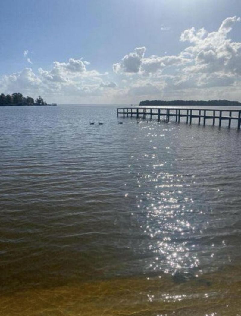 1205 Davis Street Photo 4