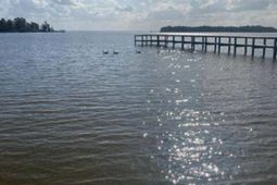 1205 Davis Street photo 4