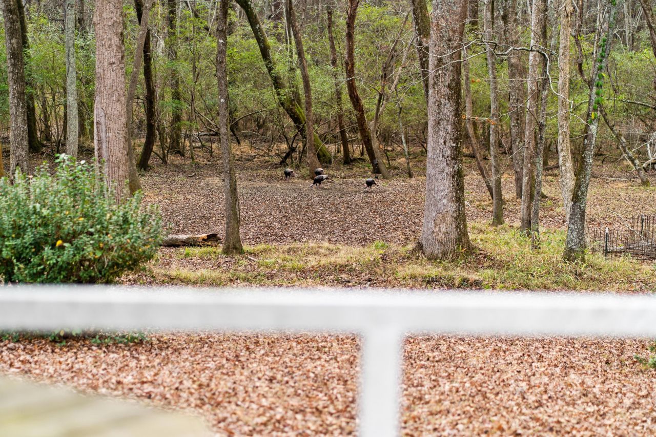 371 Citadel Road Photo 27