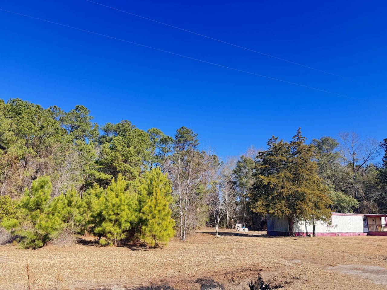 6080 Cayce Road Photo 10