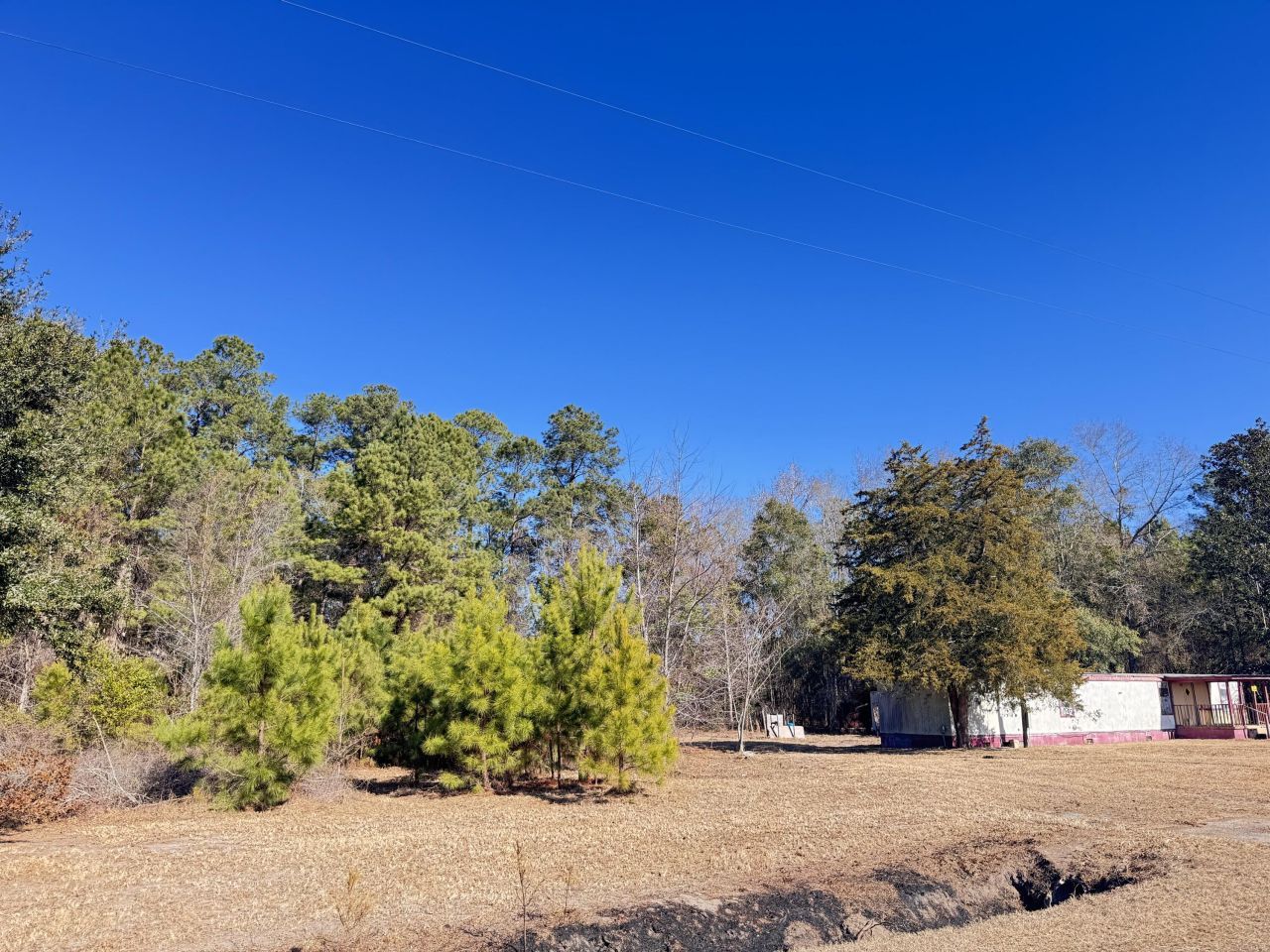 6080 Cayce Road Photo 4
