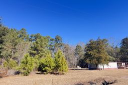 6080 Cayce Road photo 4