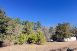 6080 Cayce Road photo 4