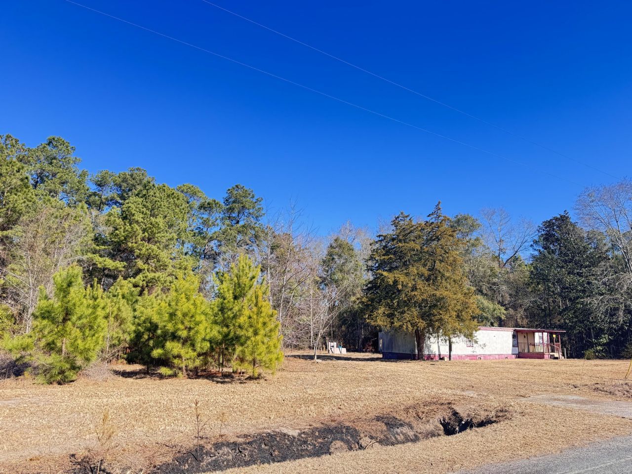 6080 Cayce Road Photo 6