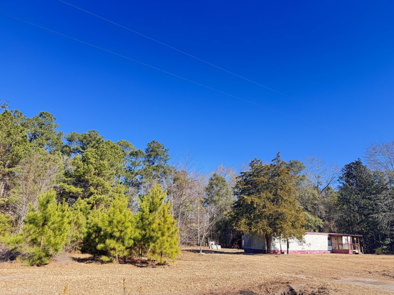 6080 Cayce Road Photo 7