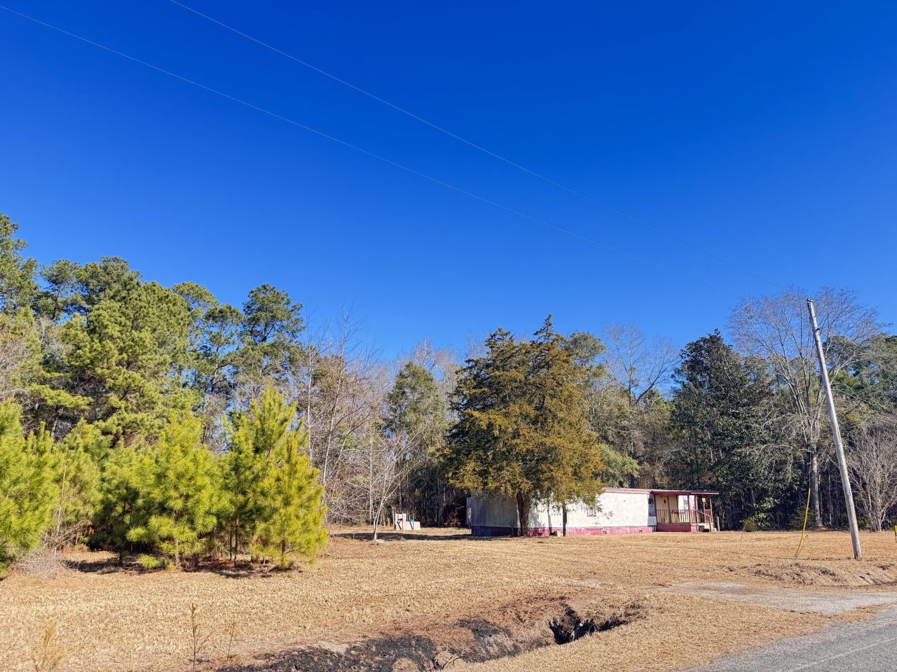 6080 Cayce Road Photo 9