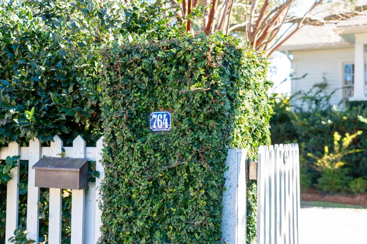 764 Rutledge Avenue Photo 3