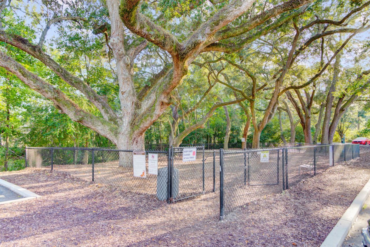 1755 Central Park Road Photo 34